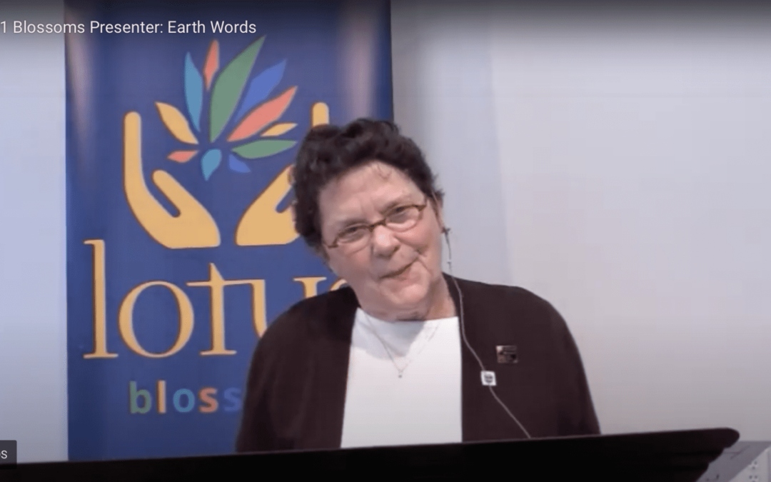 Lotus Blossoms Bazaar Video – Earth Words