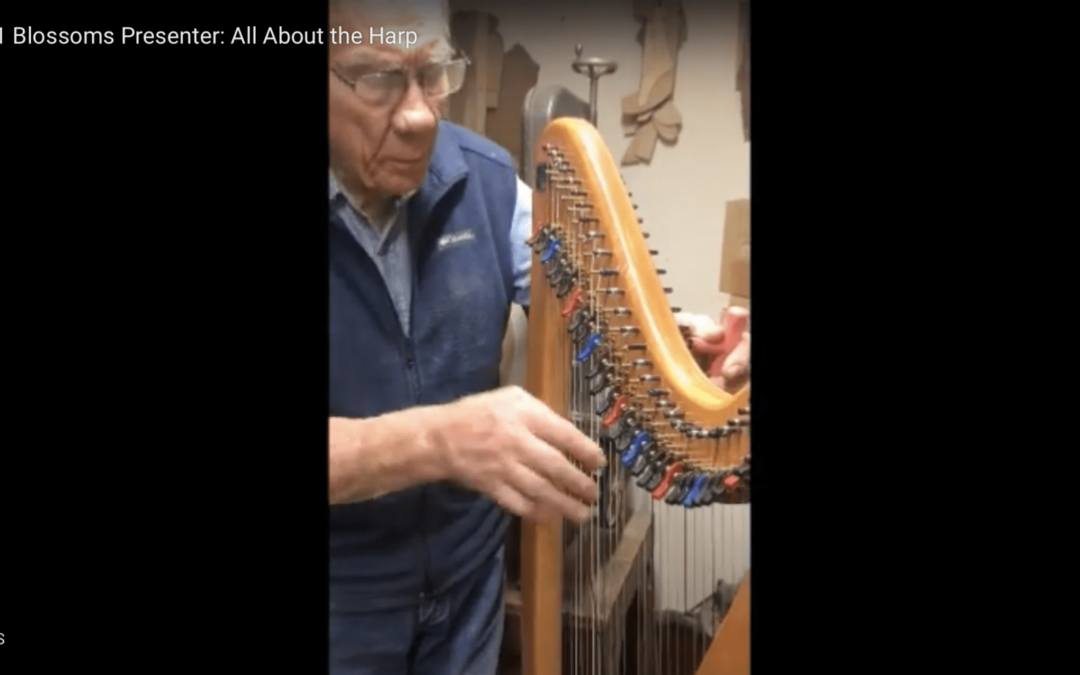 Lotus Blossoms Bazaar Video – All About the Harp