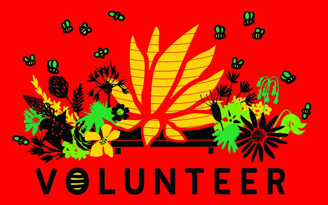 Lotus Festival Volunteer T-shirt Designs Through the Years